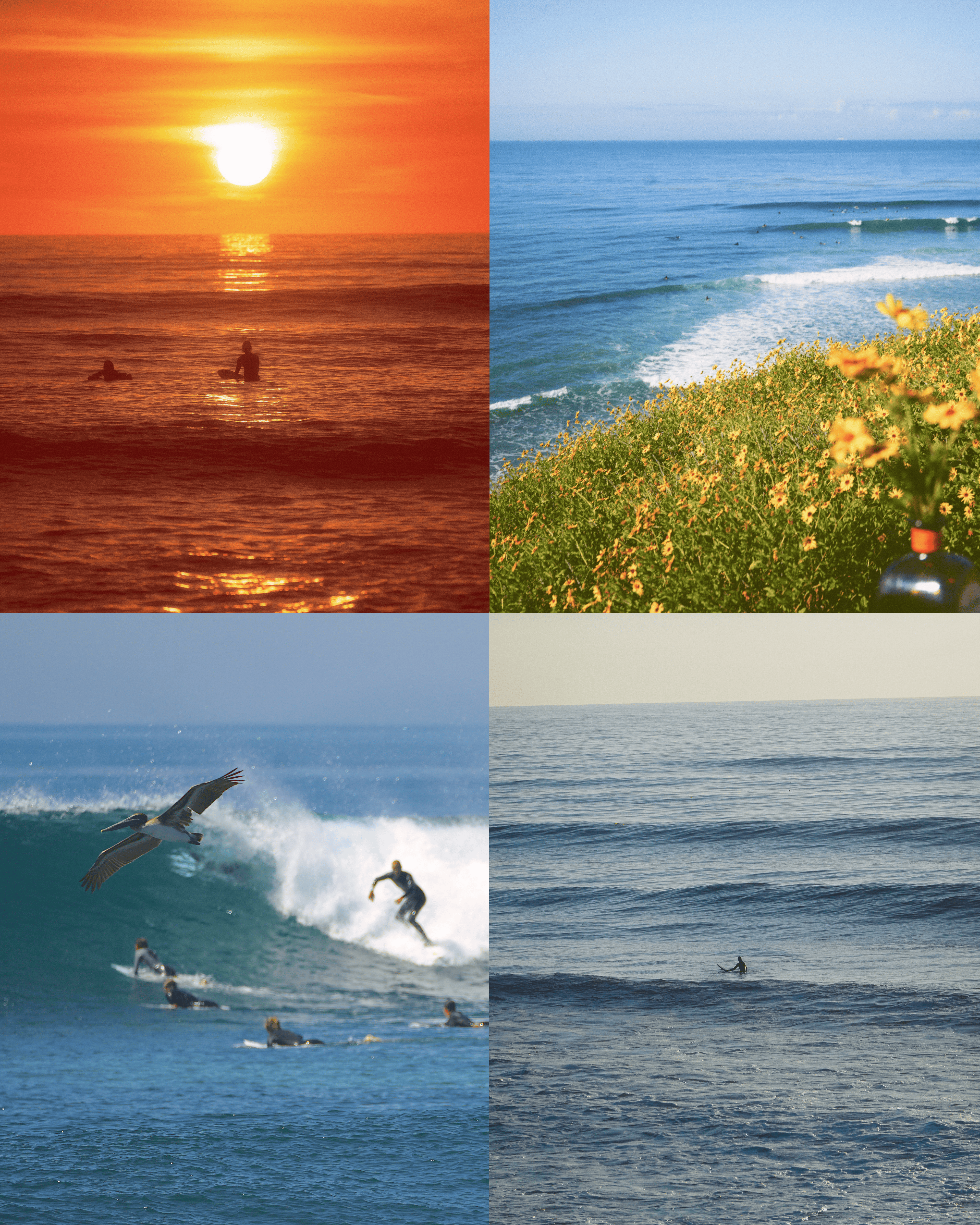 'Coastal Bundle' Digital Download