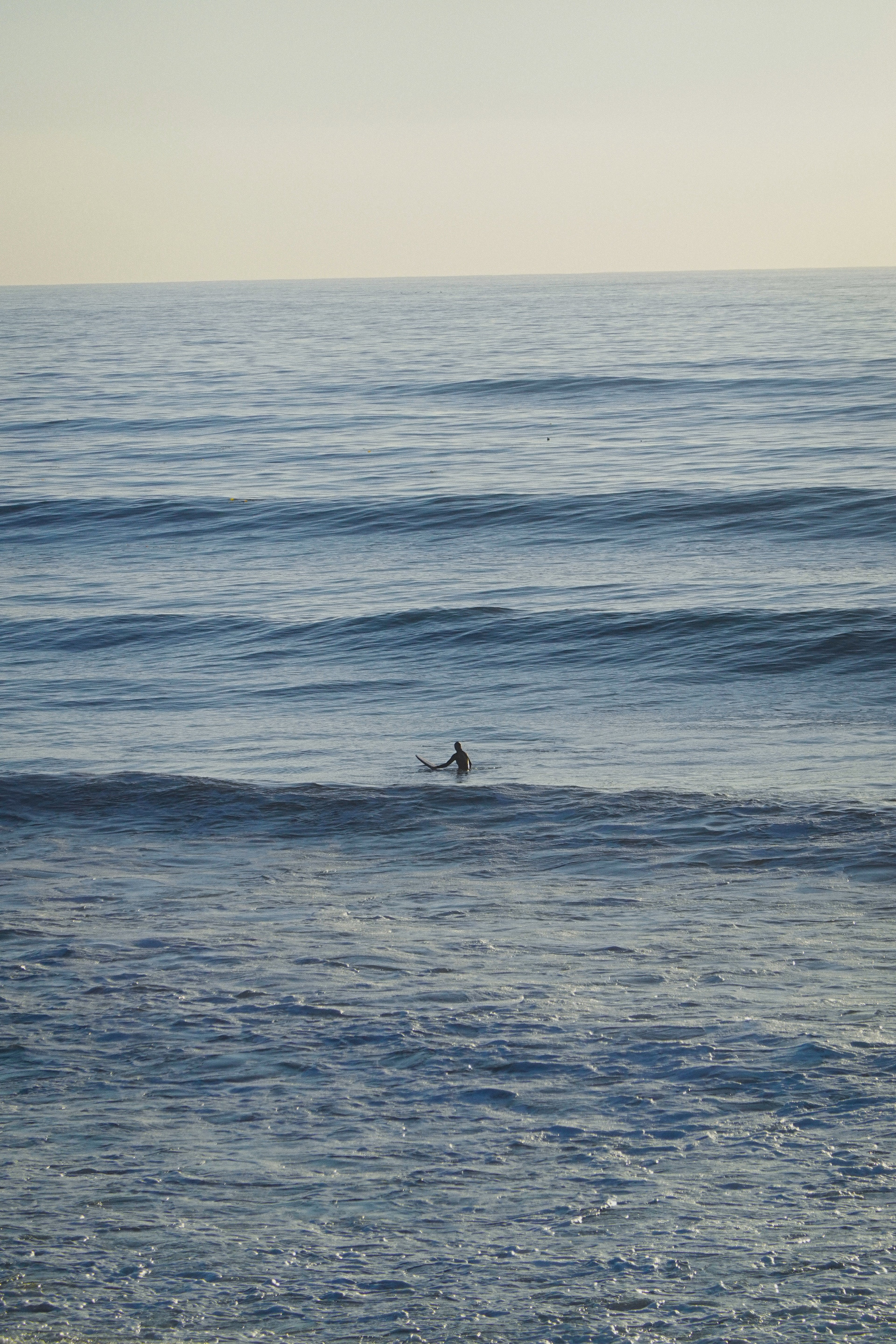 'Surfer, Horizon' Digital Download