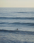 Surfer and Waves